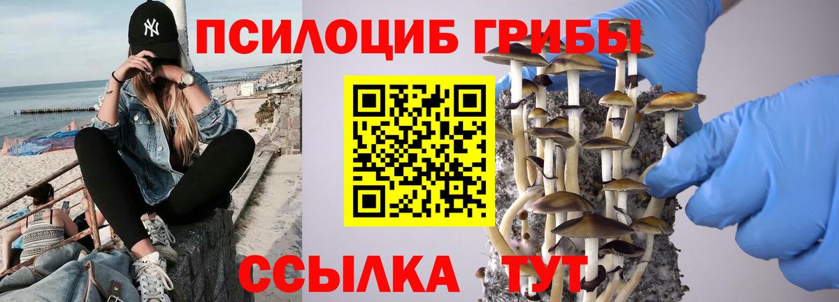Артёмовский  Псилоцибиновые грибы Cubensis  Вход с VPN 